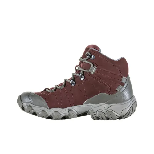 Oboz Footwear Bridger Уличная обувь MID Топ Женские