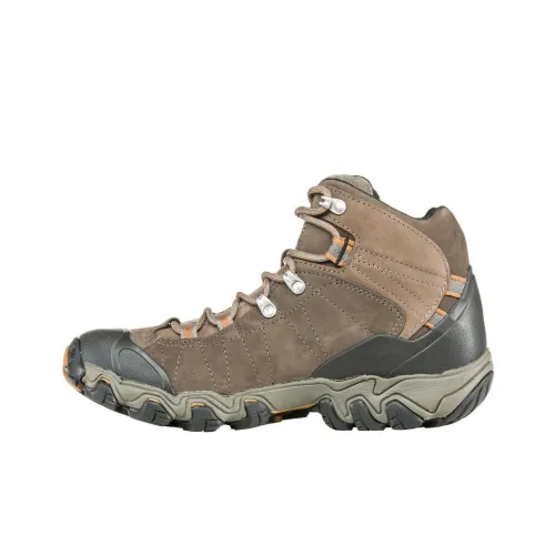Oboz Footwear Уличная обувь Высокий топ Мужской