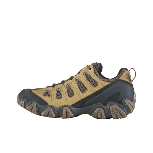 Oboz Footwear Sawtooth Уличная обувь Низкий топ Мужская