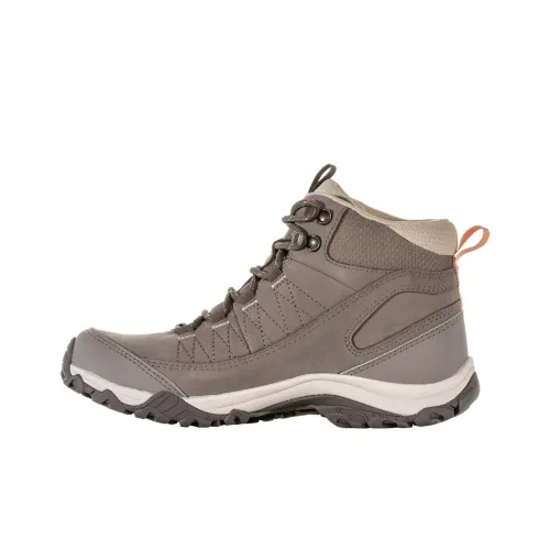 Oboz Footwear Уличная обувь MID Топ Женские