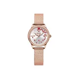 Золотое тело, белый циферблат (подарочная коробка комплект)