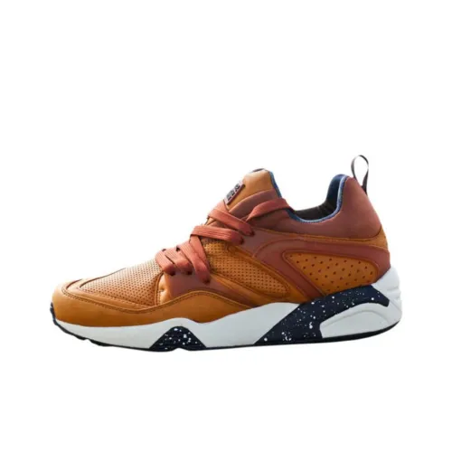 PUMA Blaze Of Glory Low Топ Повседневная обувь Унисекс Оранжевый