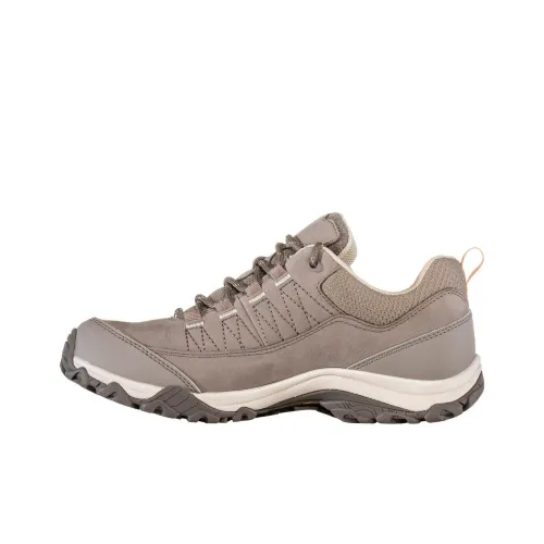Oboz Footwear Уличная обувь Низкий топ Женский