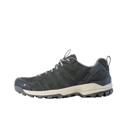 Oboz Footwear Sypes Повседневный Низкий Топ Мужской