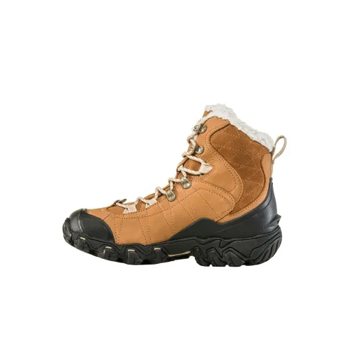 Oboz Footwear Уличная обувь MID Топ Коричневый Женские
