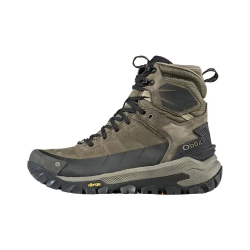 Oboz Footwear Bangtail Уличная обувь Высокий топ Серый Мужской