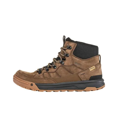Oboz Footwear Burke Уличная обувь Высокий топ Мужская