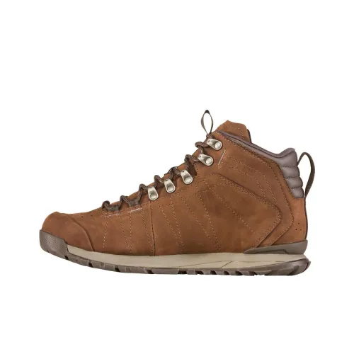 Oboz Footwear Bozeman Уличная обувь Низкий топ Коричневый Мужской