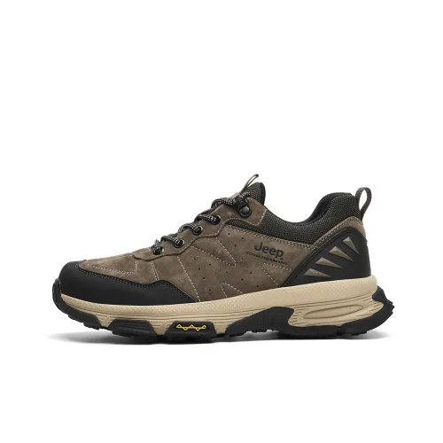 JEEP Низкий Топ Уличная Обувь Мужская Коричневая
