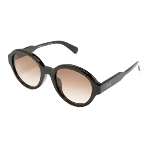 Chloe Ацетат Нерегулярная форма Солнцезащитные очки Женские Черепаховый