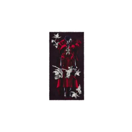 Alexander McQueen Шерсть Шали Женские