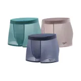 Королевский синий/Светло-зеленый/Кофейный