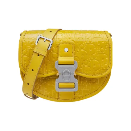 DIOR Gallop OBLIQUE GRAVITY Принт Кожа Курьерская сумка Сумка через плечо Мини Мужской Желтый