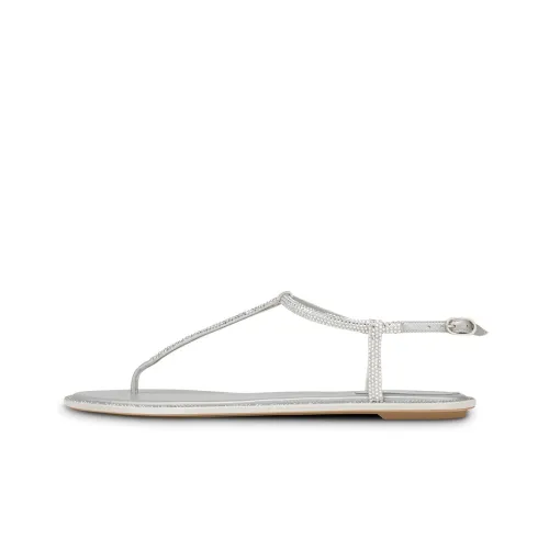 RENE CAOVILLA Diana one Ремень Сандалии Женские Серебряные