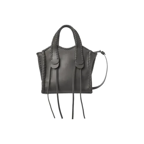 Chloe Mony Блестящая Телячья Кожа Сумка через плечо Сумка Маленькая Женская Слоновой Серый