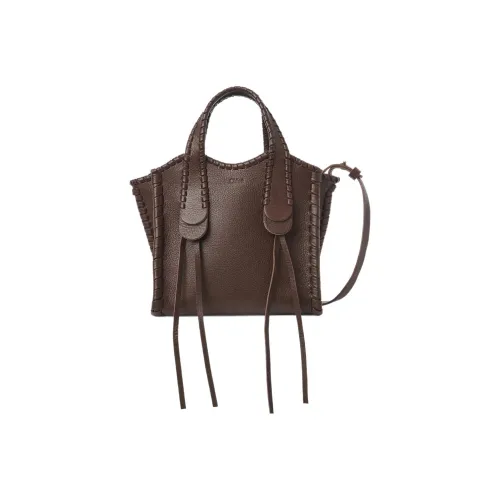 Chloe Mony Растительное дубление С рельефом Телячья кожа Сумка через плечо Сумка Маленькая Женская Шоколадно-коричневый