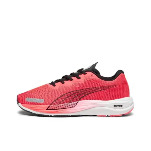 PUMA Velocity Nitro 2 Беговые кроссовки Низкий Топ Красный Мужской