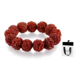 Кинг-Конг Семена Бодхи