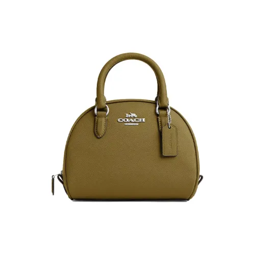 COACH Sydney Крестообразная текстура кожа купольная сумка сумка через плечо маленькая сумка женская умбра