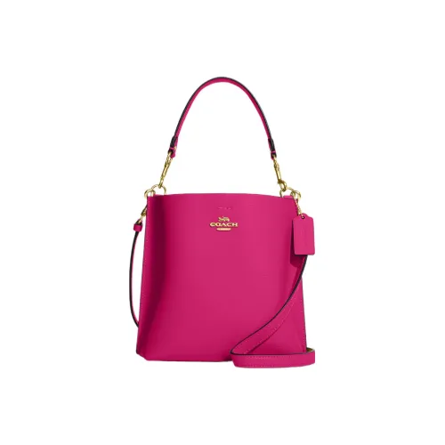 COACH Mollie Двойная Сided Кожа Ведрообразная Сумка через плечо Маленькая Женская Фиолетовая