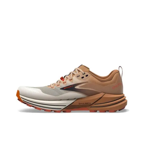 Brooks Cascadia 16 Уличная обувь Низкий топ Белый Коричневый Мужской