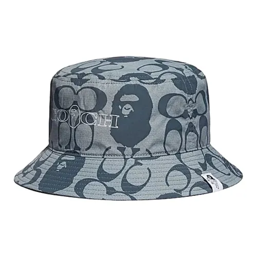 COACH Хлопковые Панамы Унисекс Синий