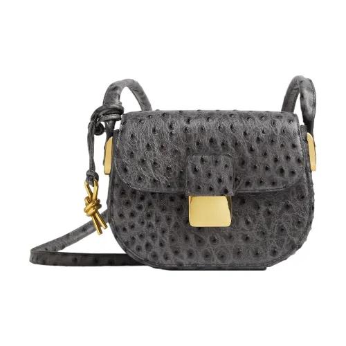 Bottega Veneta Desiree Козья кожа Сумка через плечо Мини Женская Галечно-серый