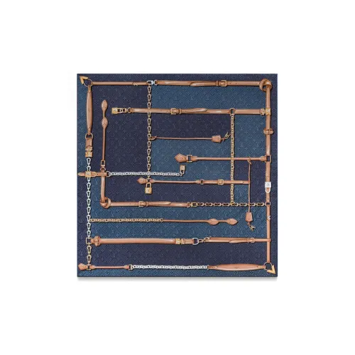 LOUIS VUITTON DENIMGRAM CONFIDENTIAL Шелковые шарфы Женские Многоцветные