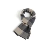 A8 Верблюжий