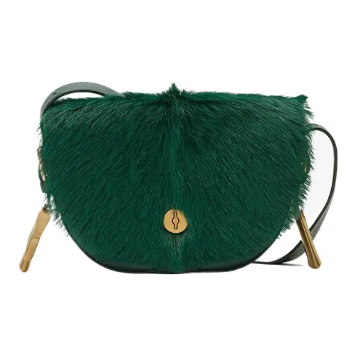 Burberry Телячья кожа с кашемиром Сумка через плечо Стандартная Женская Лоза Зеленый