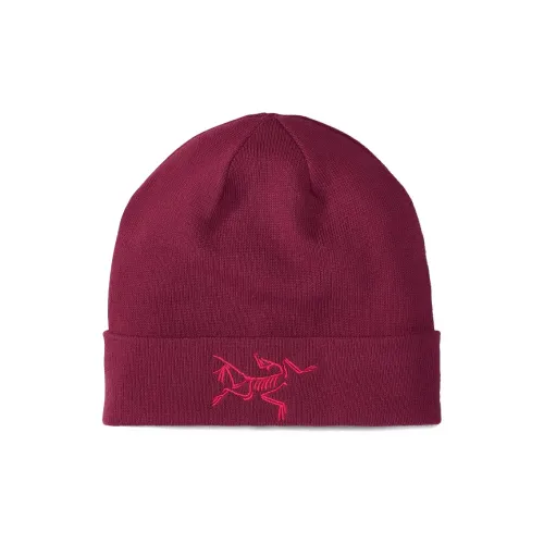 Arcteryx Трикотажная ткань Шапки-бини Унисекс Бордо Бургунди