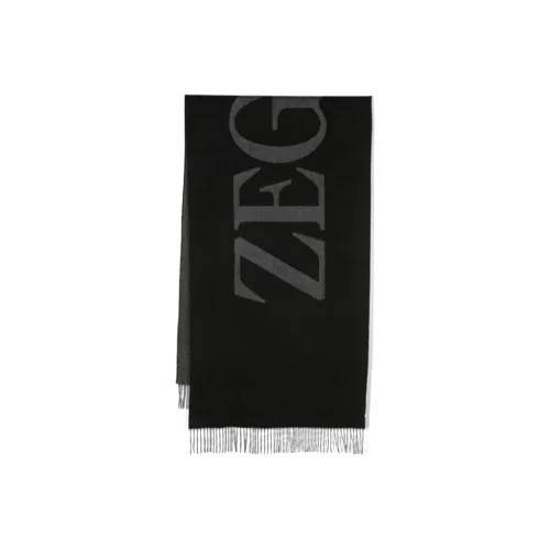 Ermenegildo Zegna Шелковые шарфы Мужской