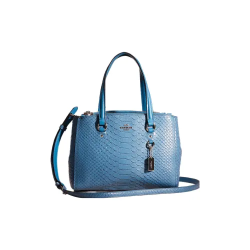 COACH Stanton Кожа Плечевая Сумка Средняя Женская Синяя