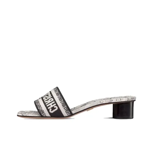 DIOR Dway Слипоны Женские