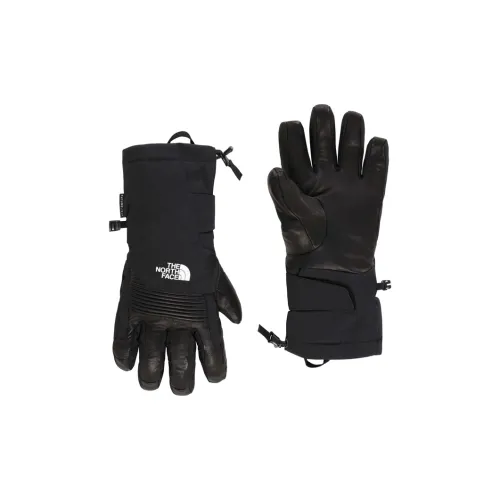 The North Face Натуральная кожа Перчатки Мужские