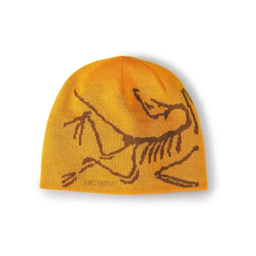 Arcteryx Шерсть Бини Унисекс Edziza Relic Желтый