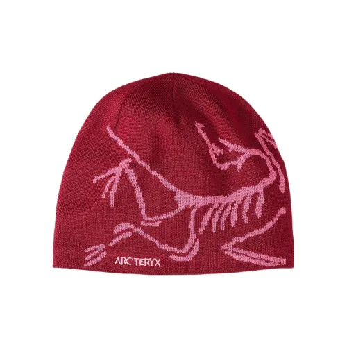 Arcteryx Шапки-бини Унисекс Бордо Красный