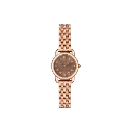 COACH Delancey Collection Women's Watch Кварцевый механизм ремешок из нержавеющей стали 22 мм коричневый циферблат
