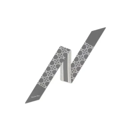 DIOR Шарфы из тутового шелка Женские