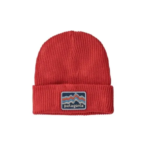 Patagonia Переработанный полиэстер Шапки-бини Унисекс