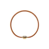 Золотая пряжка