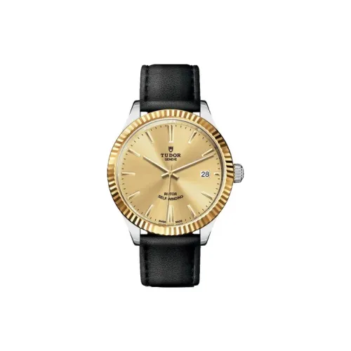 TUDOR Wind Style Collection Автоматический Механический Механизм Мужские Часы Часы 38 мм Золотой Циферблат