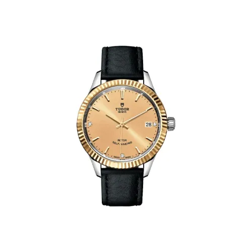 TUDOR Wind Style Collection Автоматический Механический Механизм Мужские Часы Часы 34 мм Золотой Циферблат