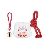 Лиса Спирит