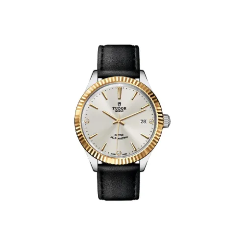 TUDOR Wind Style Collection Автоматический Механический Механизм Мужские Часы Часы 38 мм Серебристый Циферблат