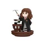 Гермиона Шармы класс