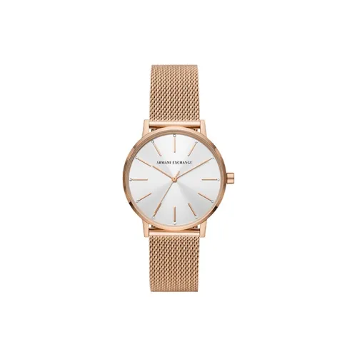 ARMANI EXCHANGE AE ARMANI Women's Watch Кварцевый механизм Нержавеющая сталь Ремешок Серебристый циферблат