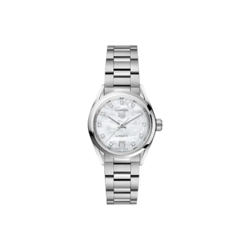 TAG HEUER Автоматический Механический Механизм Мужские Часы Carrera Collection 29 мм Серебряные