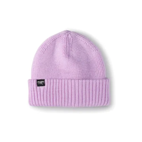 Arcteryx Переработанный полиэстер Высокотехнологичные вязаные шапки унисекс фиолетовый