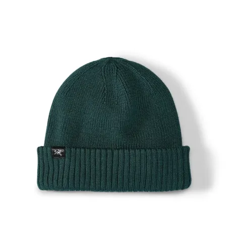 Arcteryx Переработанный полиэстер Шапки-бини Унисекс Зеленый